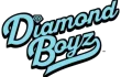 diamond_boyz_transparent_compressed